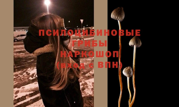a pvp Алзамай