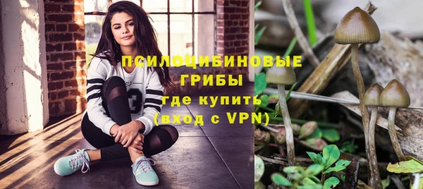 a pvp Алзамай