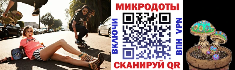 Псилоцибиновые грибы мицелий Дмитриев