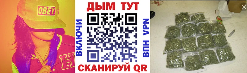 купить   Дмитриев  KRAKEN онион  МАРИХУАНА планчик 